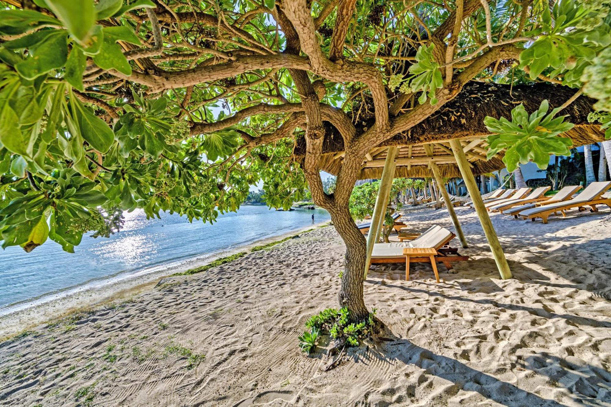 Seasense Boutique Hotel & Spa (Adults Only) Belle Mare Esterno foto Beach at the Hotel